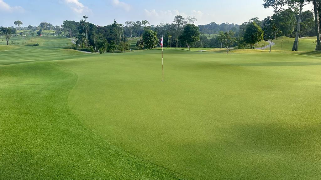 Zoysia Grasses for Greens – Leading the Way to True Sustainability